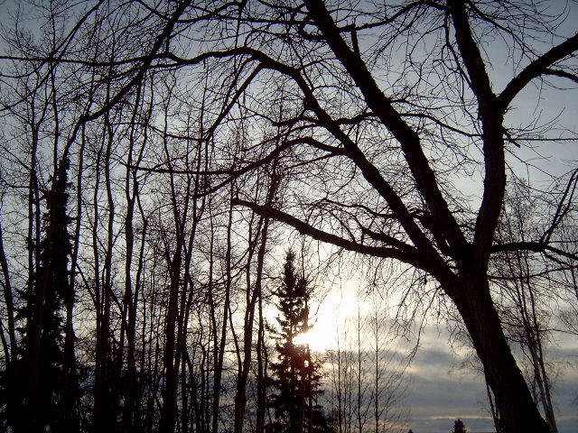 Alaskan Sunrise