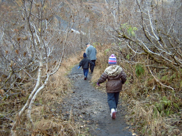 On the hike to Byron Glacier