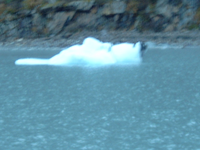 Glacier chunks in Portage Lake